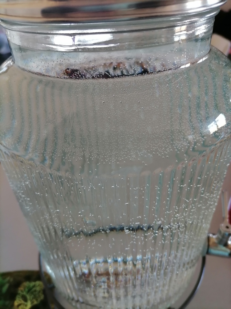 Живата вода од Феникс како моќен антиоксиданс