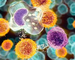 Оксидативна токсичност и формирање на кислороден радикал