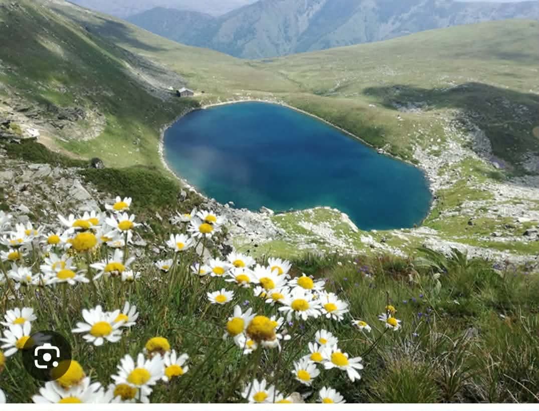 Александрова астрологија за шифра: Пелистер